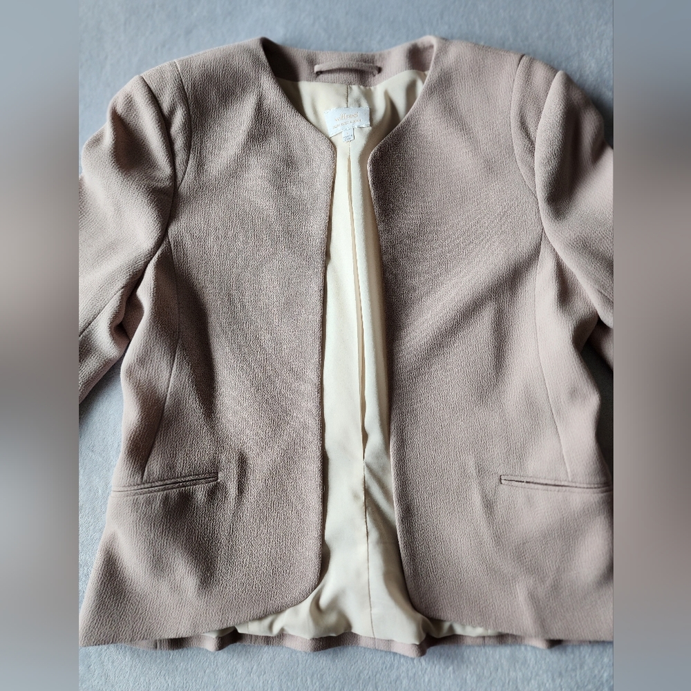 Aritzia Wilfred Blazer